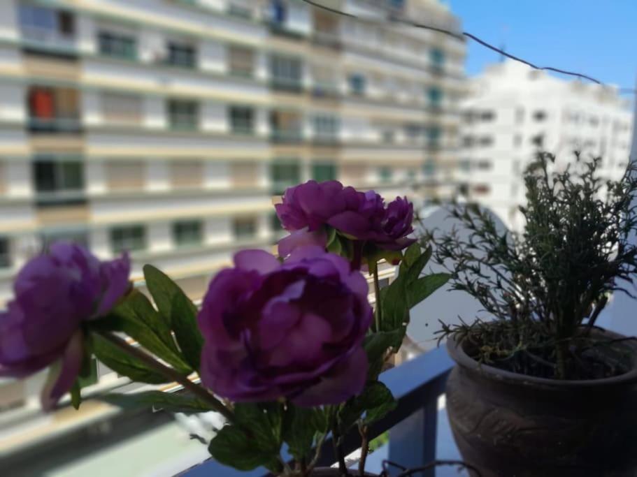 Elegant Au Coeur De Appartement Tanger